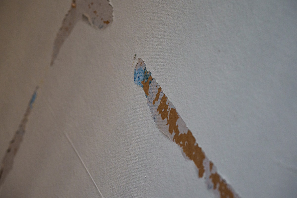 Sewage Cleanup service in Hanford, CA